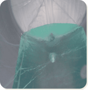 ISOTANK Liner - being filled with liquid